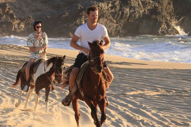 Beach & Desert Horseback Tour - Wildlife Spotting