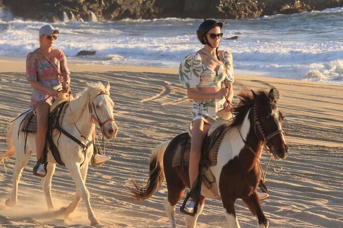 Beach & Desert Horseback Tour - Customer Experiences