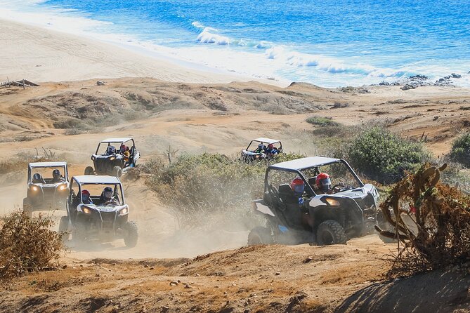 Beach & Desert UTV Tour in Cabo (Price per Person) - Safety Protocols and Equipment