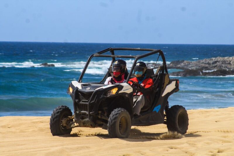 Beach & Desert UTV Tour in Cabo - Key Points