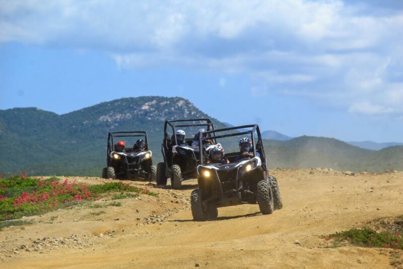 Beach & Desert UTV Tour in Cabo - Participant Requirements and Restrictions