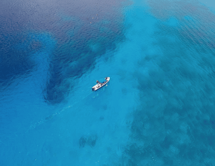 Beach: Dive in Cozumel - Transportation and Logistics
