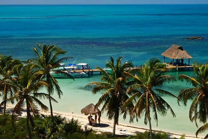 Beach Escape: Isla Contoy and Isla Mujeres With Snorkeling. - Birdwatching at Isla Contoy