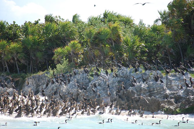 Beach Escape: Isla Contoy and Isla Mujeres With Snorkeling. - Shopping and Beach Time
