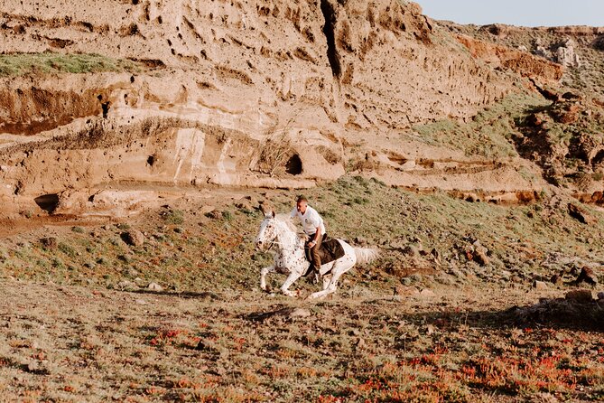 Beach Gallop - Horse Riding Safari for Experienced Riders - Health and Safety Considerations