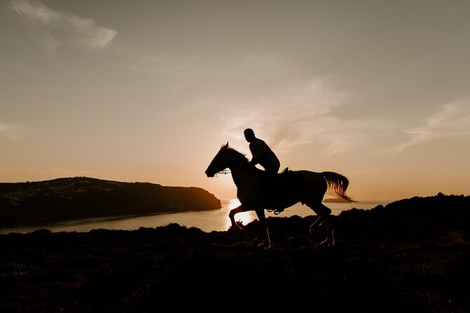 Beach Gallop - Horse Riding Safari for Experienced Riders - Guest Reviews and Feedback