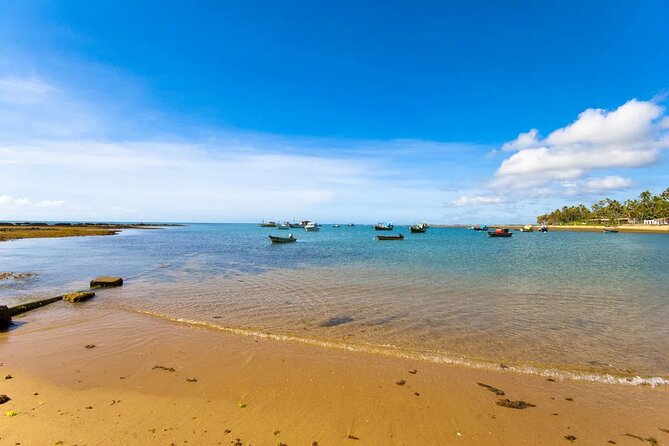 Beach Getaway - Praia Do Forte and Guarajuba - Praia Do Forte