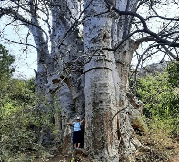 Beach: Guided Nature Hike to Cidade Velha - Experience Highlights
