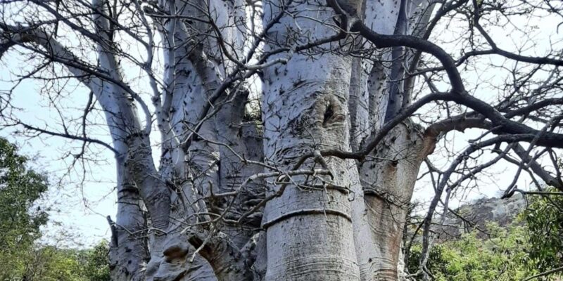 Beach: Guided Nature Hike to Cidade Velha - Guided Support and Flexibility