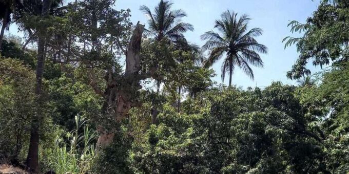 Beach: Guided Nature Hike to Cidade Velha - Scenic Landscapes of Santiago