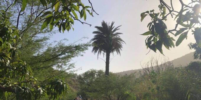 Beach: Guided Nature Hike to Cidade Velha - Diverse Flora and Fauna