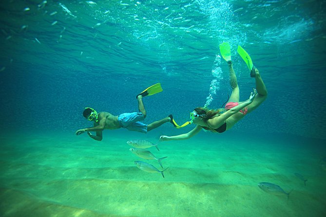 Beach Hopper Snorkeling Tour in Los Cabos - Tour Duration and Inclusions