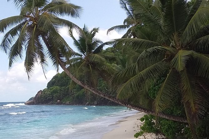 Beach Hopping Tour on Mahe Seychelles - Customer Reviews and Experiences