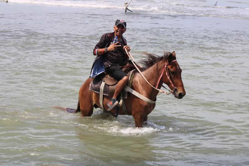 Beach Horse Back Riding and Countryside - Duration and Pricing Details