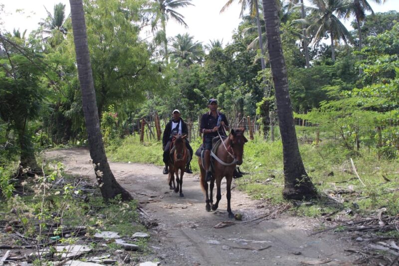 Beach Horse Back Riding and Countryside - Guided Tour and Language Options