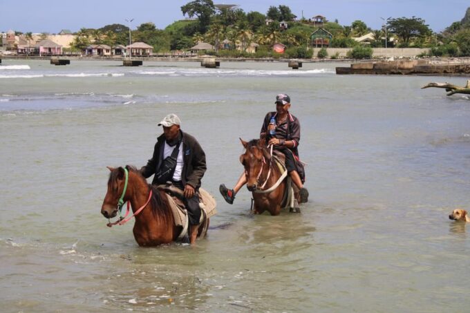 Beach Horse Back Riding and Countryside - Inclusions and Restrictions