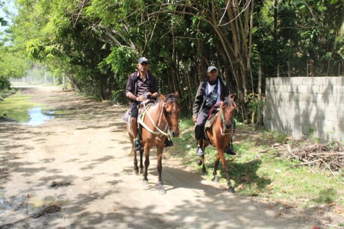 Beach Horse Back Riding and Countryside - Preparation and Recommendations