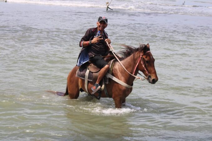 Beach Horse Back Riding and Countryside - Frequently Asked Questions