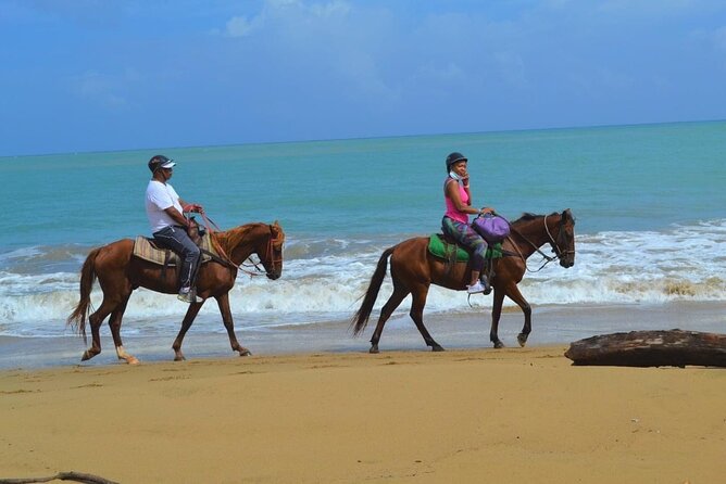 Beach Horse Ride and Countryside Amber Cove & Taino Bay - Health and Accessibility