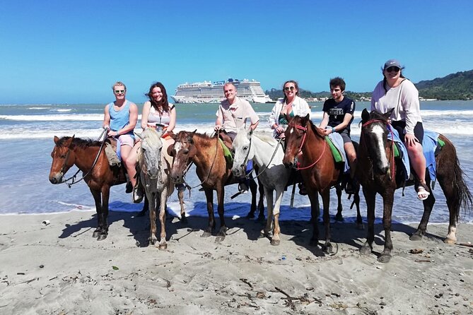 Beach Horse Ride and Countryside Amber Cove & Taino Bay - Customer Reviews
