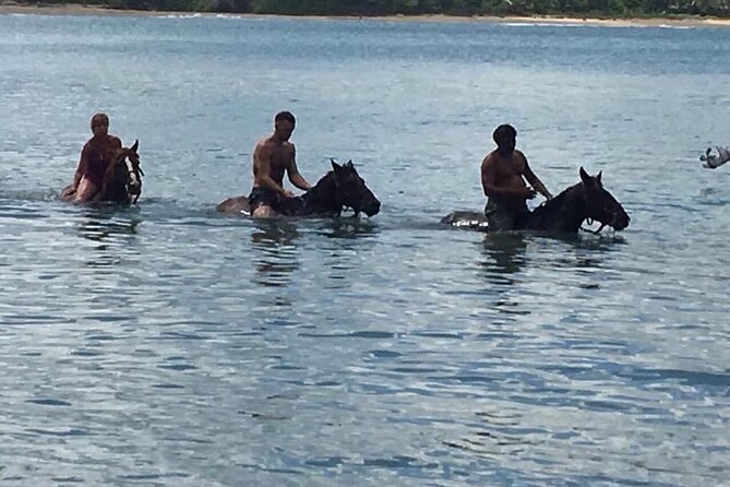 Beach Horse Ride and Countryside Amber Cove & Taino Bay - Experience Highlights