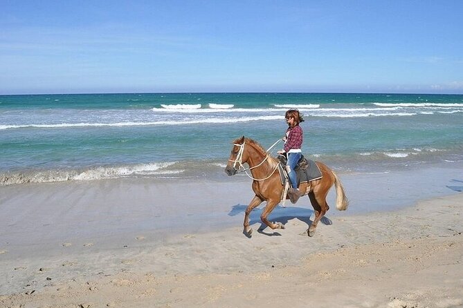 Beach Horse Ride Punta Cana - El Limon & La Sabana De Nisibon - Horseback Riding Experience