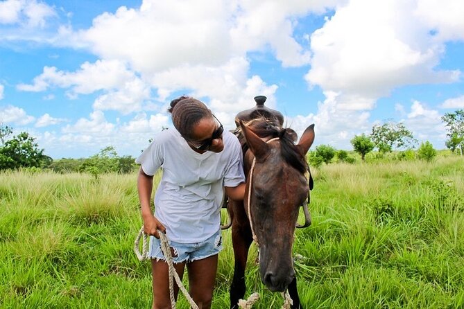 Beach Horse Ride Punta Cana - El Limon & La Sabana De Nisibon - Booking and Cancellation