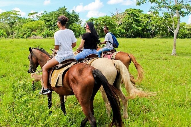 Beach Horse Ride Punta Cana - El Limon & La Sabana De Nisibon - Booking Your Stay