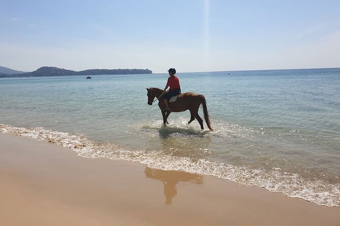 Beach Horse Riding Activity in Phuket - Customer Reviews and Feedback