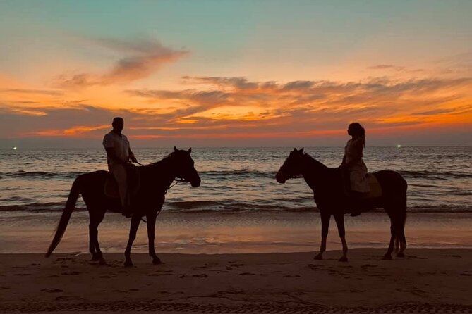 Beach Horse Riding At Sunset In Phuket - Well-Cared-for Horses and Experienced Staff