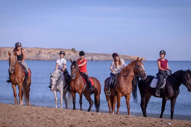 Beach Horse Riding From Sharm El Sheikh - Key Points