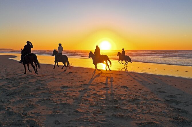 Beach Horse Riding From Sharm El Sheikh - Pickup Information