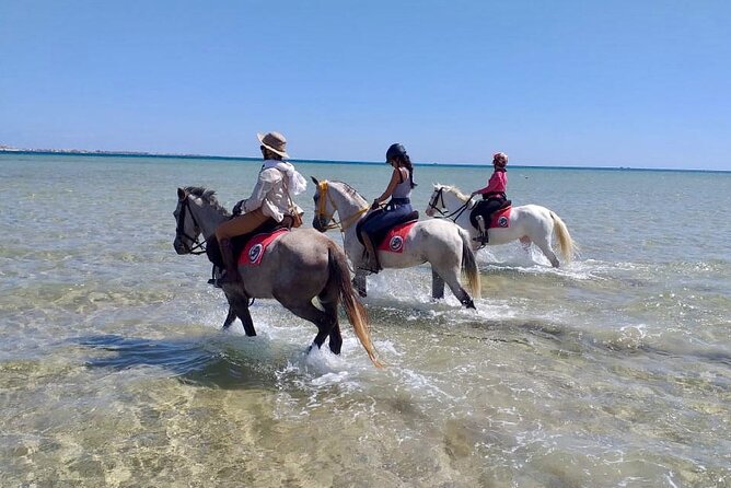 Beach Horse Riding From Sharm El Sheikh - Recommendations for Improvement
