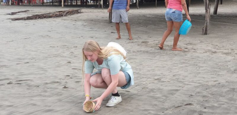.Beach Horse Riding Turtle Release Crocodile Farm Experience - Key Points