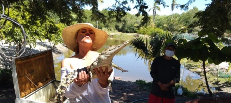 .Beach Horse Riding Turtle Release Crocodile Farm Experience - Tour Details