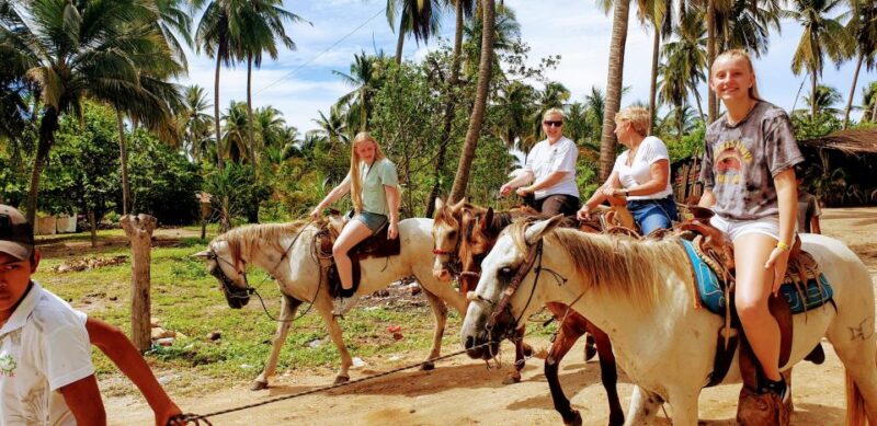 .Beach Horse Riding Turtle Release Crocodile Farm Experience - Customer Feedback
