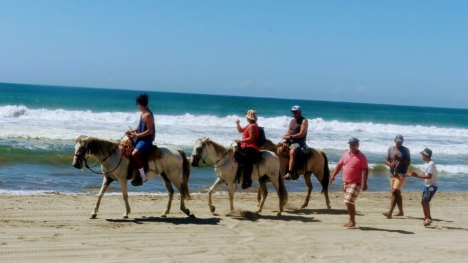 .Beach Horse Riding Turtle Release Crocodile Farm Experience - Horseback Riding Experience
