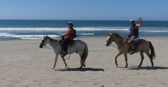.Beach Horse Riding Turtle Release Crocodile Farm Experience - Crocodile Farm Visit