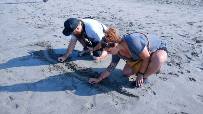 .Beach Horse Riding Turtle Release Crocodile Farm Experience - Frequently Asked Questions