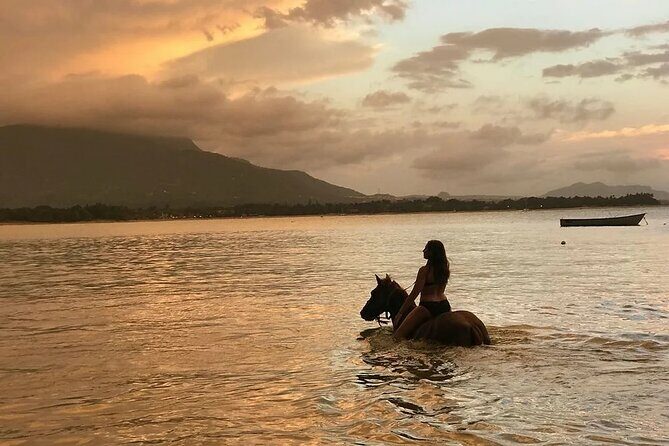 Beach Horseback Ride Tour in Puerto Plata - Scenic & Fun for All - A Detailed Look at the Puerto Plata Horseback Ride