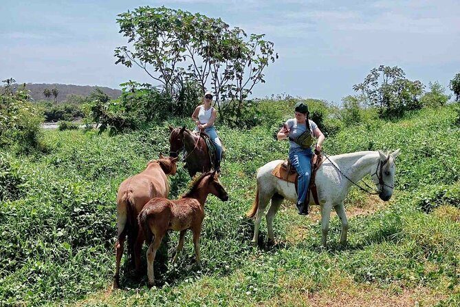 Beach Horseback Riding Adventure in Copalita, Huatulco - FAQ