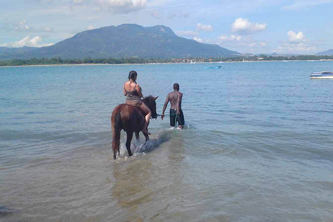 Beach Horseback Riding in Puerto Plata - Traveler Reviews