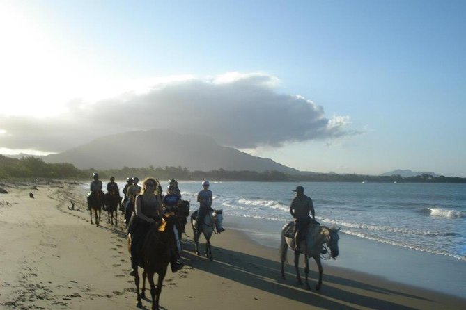 Beach Horseback Riding in Puerto Plata - Memorable Rides Through Beaches
