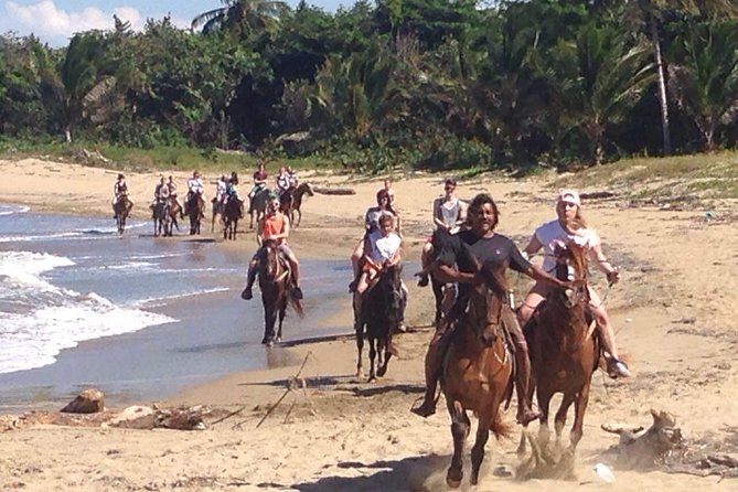 Beach Horseback Riding in Puerto Plata - Escaping the City Hubbub