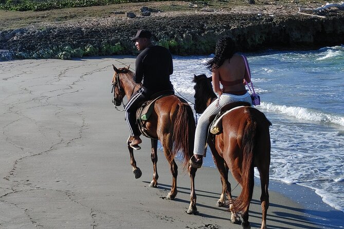 Beach Macao Horseback Riding From Punta Cana - Tour Overview