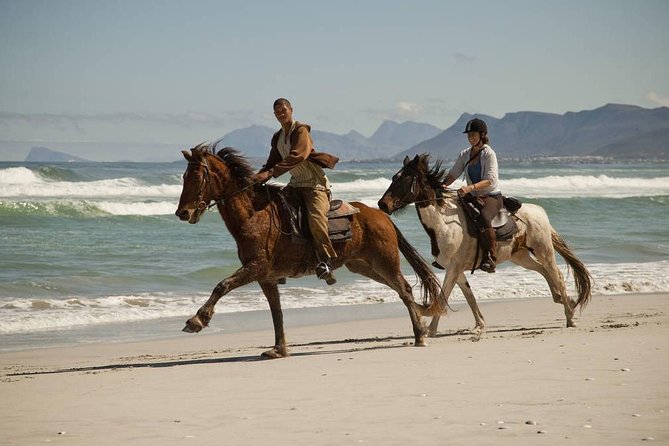 Beach Ride - Stanford - Inclusions