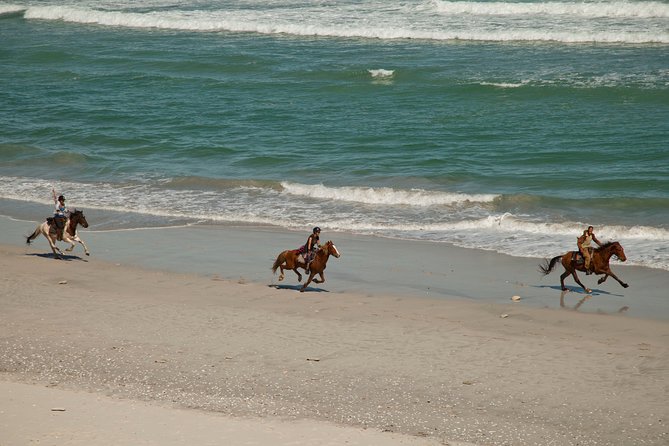 Beach Ride - Stanford - The Horses