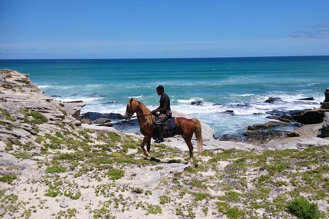 Beach Ride - Stanford - Whale Watching