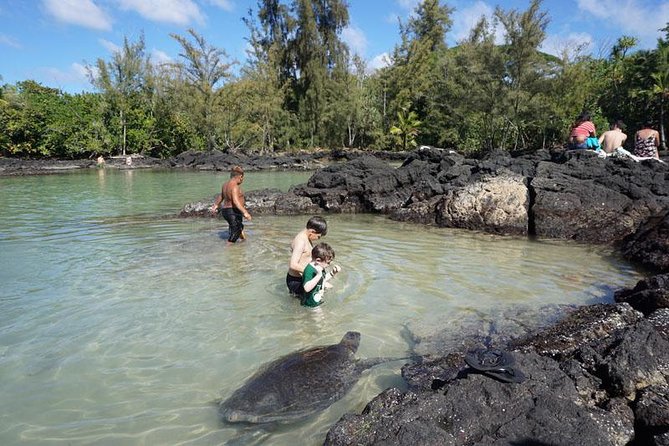 Beach Snorkel - Sea Turtle and Black Sand Lagoon - Inclusions and Exclusions