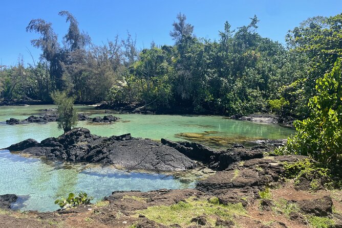 Beach Snorkel - Sea Turtle and Black Sand Lagoon - Meeting Point and Pickup